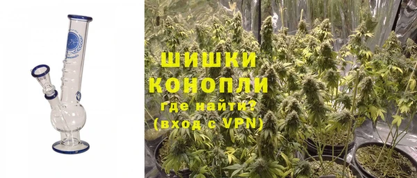 PSILOCYBIN Балабаново