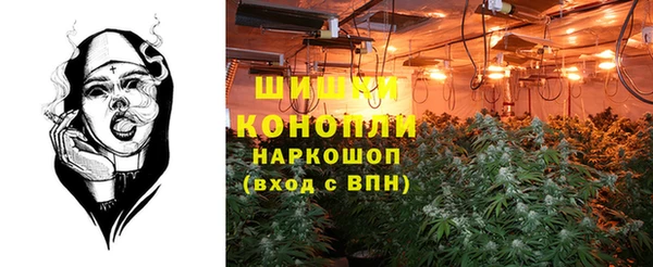 прущие крисы Армянск