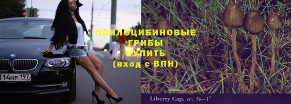 PSILOCYBIN Балабаново