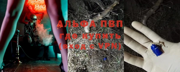 прущие крисы Армянск
