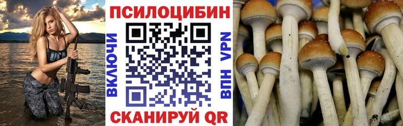 OMG вход Мончегорск Псилоцибиновые грибы Psilocybine cubensis наркота